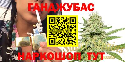 индика Нягань