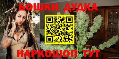 индика Нягань