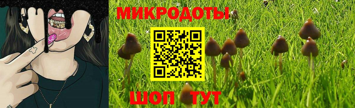 Галлюциногенные грибы Magic Shrooms  Вход с VPN  Заречный 