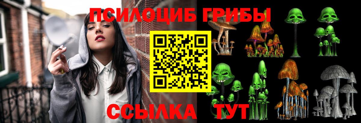 Псилоцибиновые грибы Psilocybine cubensis Заречный