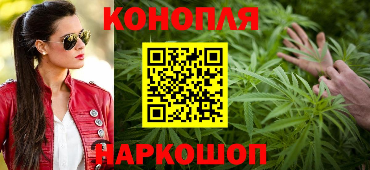 Заречный  Шишки марихуана конопля  Вход с VPN  Конопля сатива  Бошки Шишки сатива  Бошки Шишки сатива 